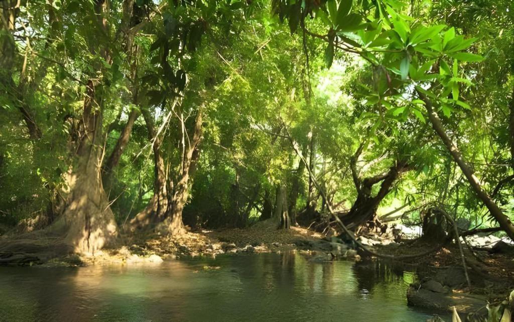 Natural Park Resort De Wang Thong Phitsanulok Exteriör bild